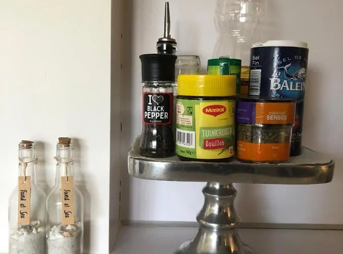 Zee & アパート ノールトウェイク