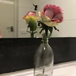 Lejlighed Zee & *